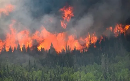إخلاء منتزه جاسبر الوطني في كندا بسبب حرائق غابات