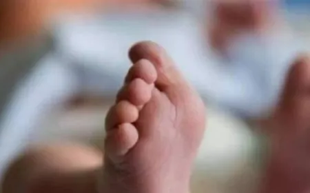 معلومات مهمّة... هل تعرّض الطفل رجب شعبان كنجو للإغتصاب؟