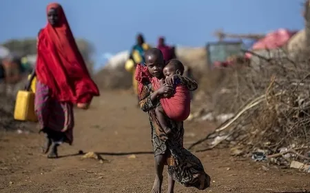 وزير الزراعة السوداني ينفي وقوع مجاعة في البلاد