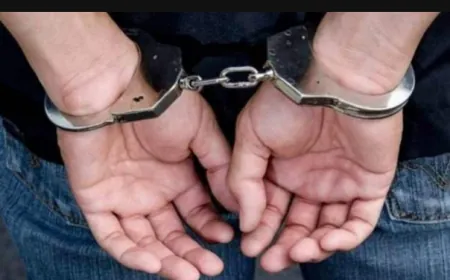 توقيف عدد من السوريين في برالياس بجرم التزوير