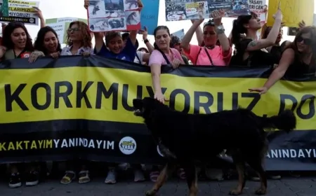 اشتباكات بين الشرطة التركية ومحتجين... ما علاقة الكلاب؟