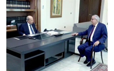 بوحبيب زار الرئيس السابق عون.. وتشديد على تطبيق القرار 1701 وتجنب التصعيد