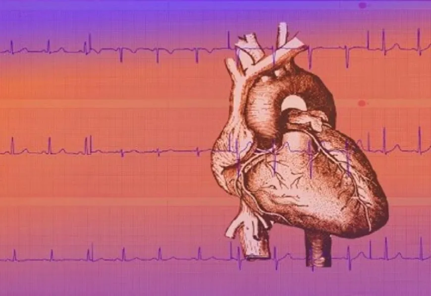 اليابان تبتكر نظام لاستعادة وظيفة الدورة الدموية للقلب في غضون 3 دقائق من توقفه