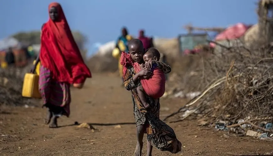 وزير الزراعة السوداني ينفي وقوع مجاعة في البلاد