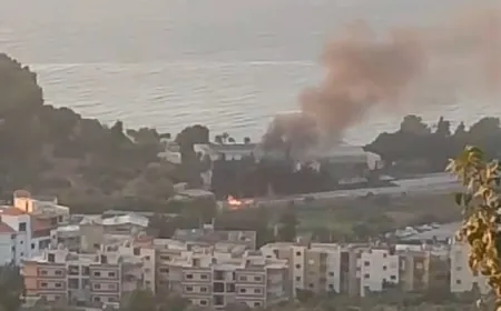 بالفيديو - حريق في المسبح العسكري في  ديرعمار