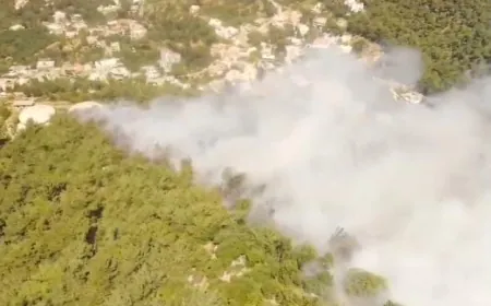 بالفيديو - حريق في غابات عين يعقوب العكارية