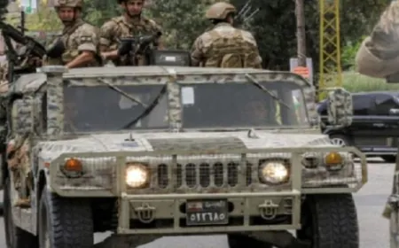 الجيش يوقف أحد أفراد عصابة خطيرة!