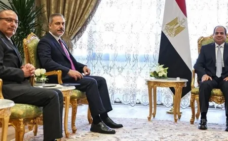 السيسي وفيدان يتفقان على أهمية ضبط النفس وإدانة التصعيد الإسرائيلي في غزة