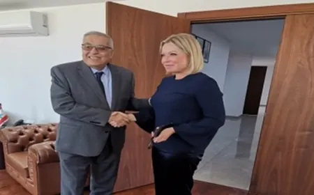 بوحبيب استقبل المنسقة الخاصة للأمم المتحدة في لبنان