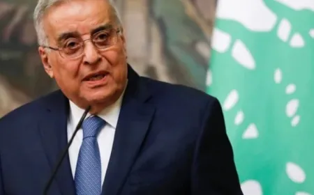إتصال بين بو حبيب ونظيرته البلجيكية: لتطبيق القرار 1701