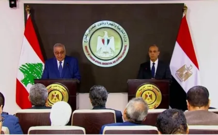 بوحبيب من مصر: السبيل الوحيد للوصول إلى التهدئة في لبنان هو وقف الحرب في غزة