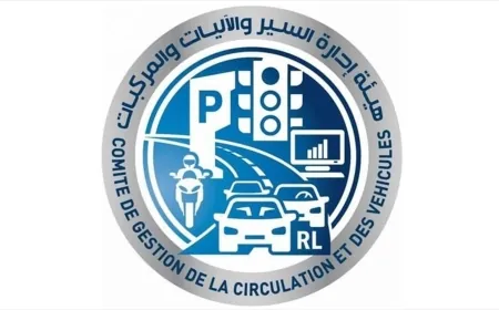 مولوي: إستئناف العمل في مصلحة تسجيل السيارات والآليات - فرع عاليه