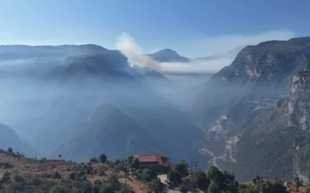 هكذا بدا محيط حريق حرار صباحاً..