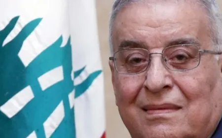 بو حبيب: التصعيد الإسرائيلي هدفه تعطيل مبادرة بايدن