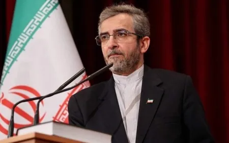 القائم بأعمال الخارجية الإيراني: اغتيال هنية "خطأ استراتيجي" سيكون "مكلفاً" لإسرائيل