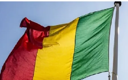 مالي تأمر السفير السويدي بمغادرة البلاد