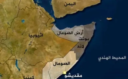 وزيرا الخارجية الصوماليّ والإثيوبيّ سيجتمعان في أنقرة