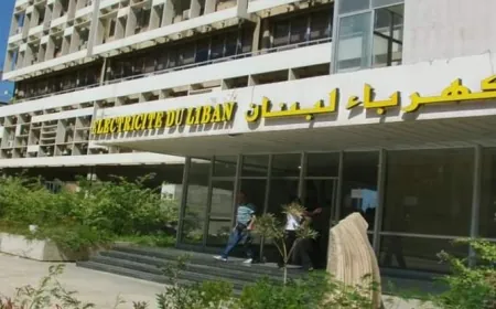 كهرباء لبنان: حريصون على اعطاء العاملين حقوقهم
