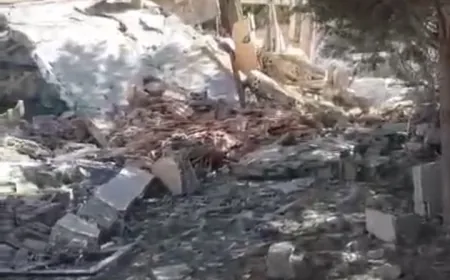 بالفيديو - الأضرار التي خلّفتها الغارة على بلدة حانين امس