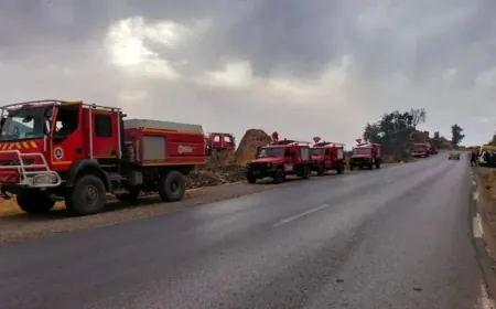 إجلاء سكان إثر اندلاع حرائق بمنطقة القبائل في الجزائر