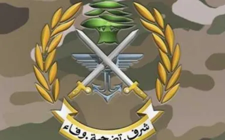 الجيش يعلن تفجير صاروخ غير منفجر في منطقة حيلان - زغرتا