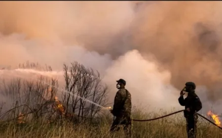 اليونان تكافح آخر حريق غابات قرب أثينا وتقيم الأضرار