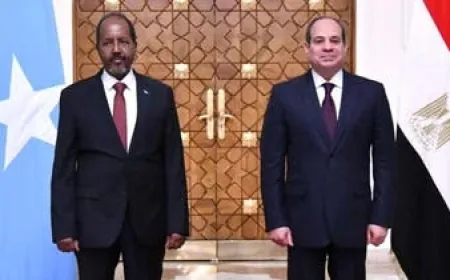 توقيع اتفاق دفاع مشترك.. مصر: نرفض أي تدخل في شؤون الصومال