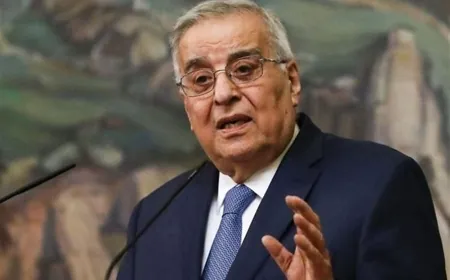 بو حبيب تسلم أوراق اعتماد سفير الباراغوي واستقبل سفير النمسا مودعا وأمل ممارسة الضغط على اسرائيل للحد من عدوانها