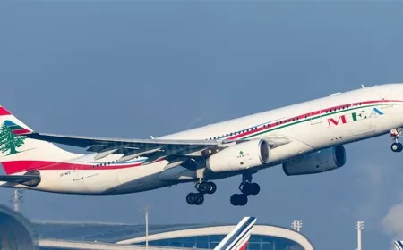 مجلس الوزراء: المُوافقة على إستفادة شركة طيران الشرق الأوسط من مفاعيل قوانين تعليق المهل