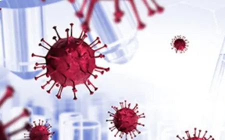 فيروس يهدد مصر