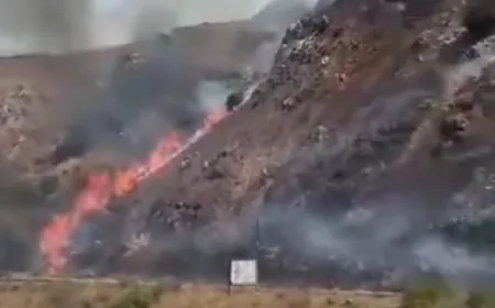 بالفيديو - حريق كبير على طريق نهر الليطاني - الخردلي