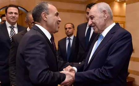 بري وعبد العاطي: دعم مصري للبنان ونداء لوقف العدوان على غزة