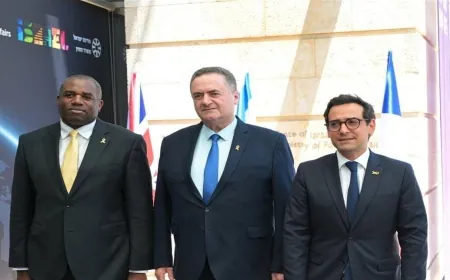 بشأن الهجوم الإيراني... هذا ما توقعه وزير الخارجية الإسرائيلي من التحالف الدولي