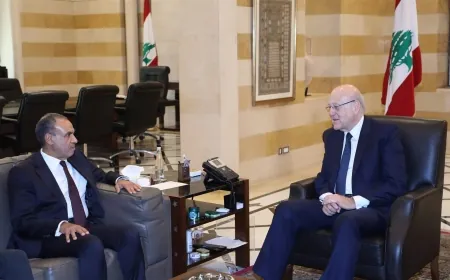 وقف التوترات في المنطقة بين ميقاتي ووزير خارجية مصر.. ورسالة دعم قوية للبنان