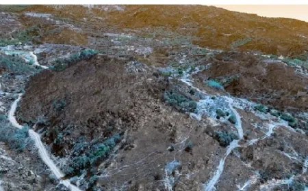 تركيا... السيطرة على معظم الحرائق في إزمير