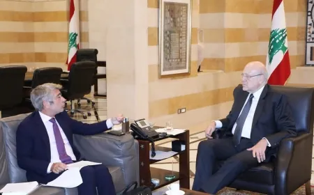 ميقاتي عرض للتطوّرات مع بو حبيب وفياض