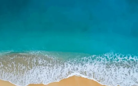 على شاطىء البحر... العثور على جثة رجل