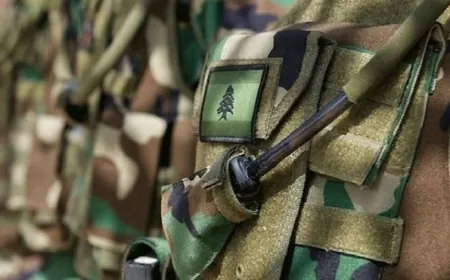 الجيش فجر قنبلة عنقودية في محلة الحوش عند أطراف صور