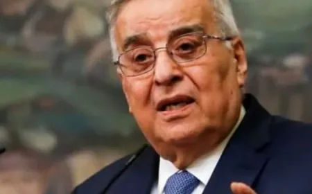 بو حبيب: نأمل أن يصدر تقرير أممي بشأن حادثة مجدل شمس