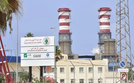 الجزائر ترسل أولى شحنات الفيول إلى لبنان لمساعدته على تجاوز أزمة الكهرباء ـ