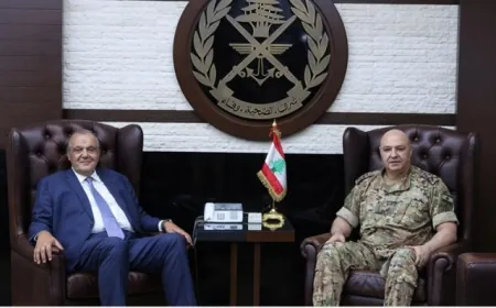 استقبالات العماد قائد الجيش