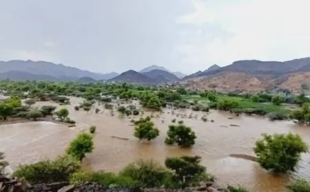 اليمن... الأمطار الغزيرة والسيول تودي بحياة 9 أشخاص