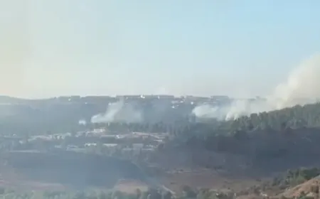 بالفيديو - من الحرائق قرب صفد