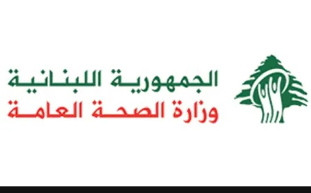 وزارة الصحة: استشهاد 10 أشخاص في غارات إسرائيلية منذ صباح اليوم على جنوب لبنان