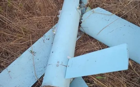 بالفيديو - سقوط مسيّرة في عكار.. وطوق أمني للجيش