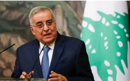 موقفنا ثابت... بو حبيب: للتمديد لليونيفيل لسنة أخرى دون تعديلات