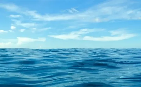 بالفيديو - مقابل كورنيش الميناء... العثور على جثة