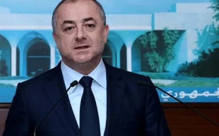 بو صعب: الحل لحرب غزة لن يأتي الا عبر المفاوضات