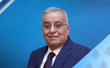 بو حبيب بحث مع السفيرة الأميركية في مسألة التمديد لليونيفيل