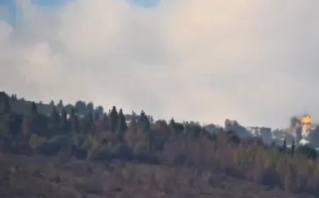 بالفيديو -لحظة حصول الغارة على بلدة العديسة ، لقطة من كاميرا مثبتة في موقع مسكافعام .